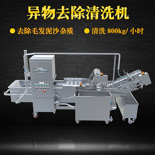 全自動果蔬清洗機，清洗800kg小時，全自動果蔬清洗機