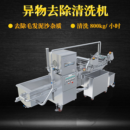 果蔬自動氣泡清洗機，清洗800kg小時，果蔬自動氣泡清洗機