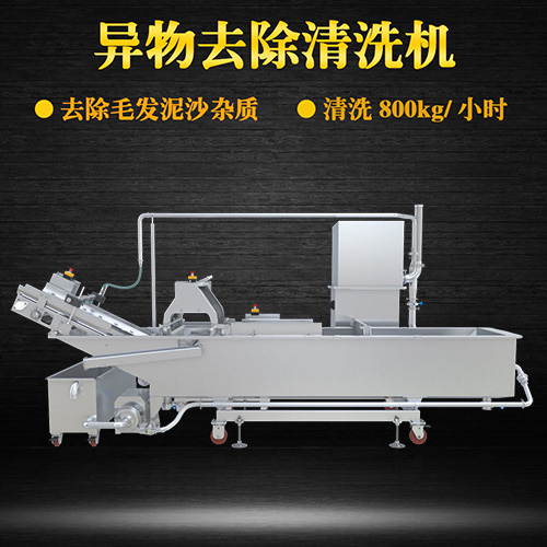 果蔬自動氣泡清洗機，清洗800kg小時，果蔬自動氣泡清洗機
