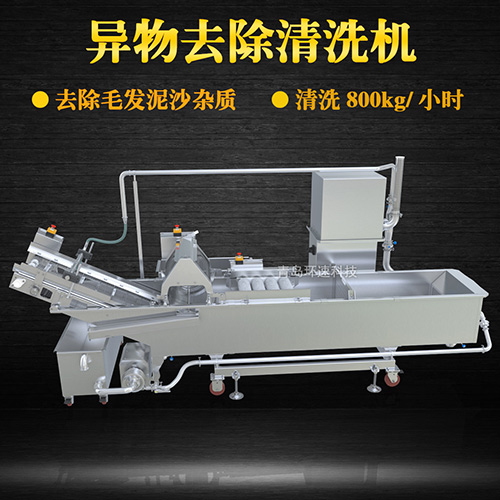 毛輥果蔬清洗機，氣泡清洗，清洗800kg小時