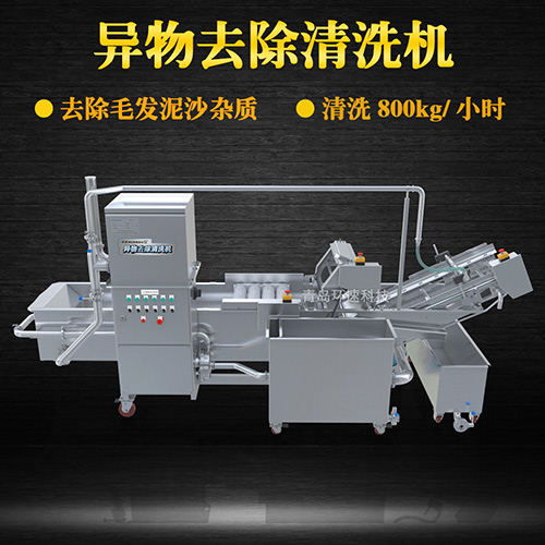 果蔬清洗機設(shè)備，氣泡清洗，清洗800kg小時